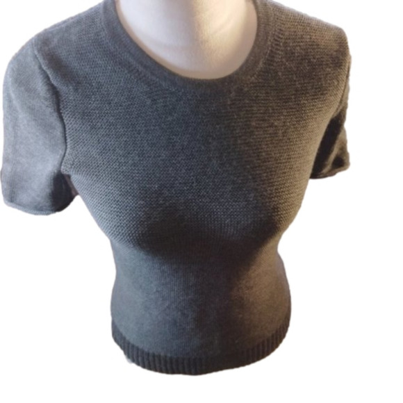 Jason Wu Sweaters - Jason Wu Gray Short Sleeve Fitted Sweater Size Small